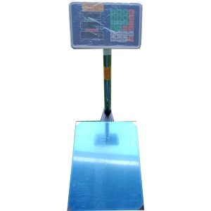 Cân Điện Tử Thủ Dầu Một Bình Dương (20)
